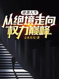 权力巅峰绝境逆袭小说
